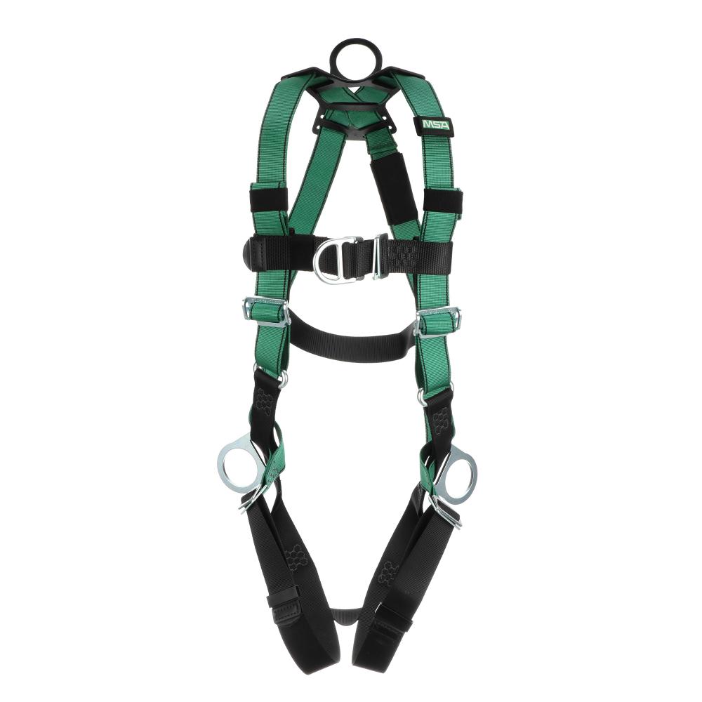 safety harness title=